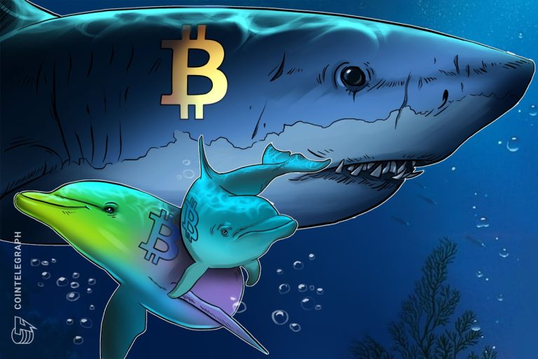 Bitcoin Sharks Accumulate at Fastest Pace Since 2012 as BTC Slides Bitcoin Sharks Accumulate at Fastest Pace Since 2012 as BTC Slides