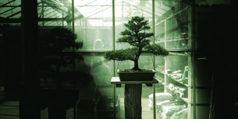 Meet Bonsai: The First 27B AI Model That Fits on Your Phone Meet Bonsai: The First 27B AI Model That Fits on Your Phone